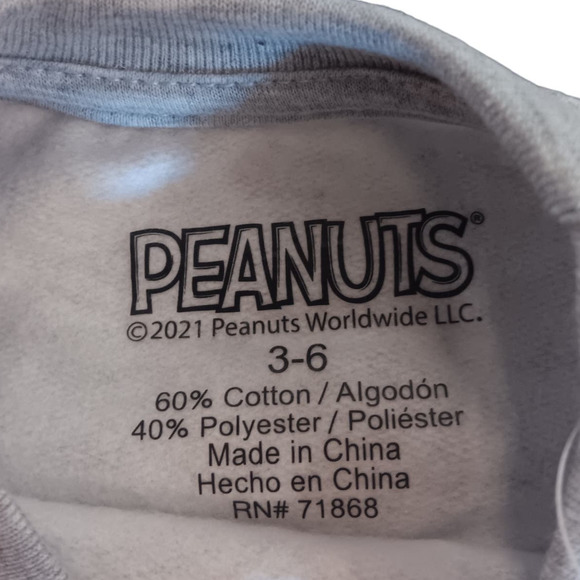 Peanuts Infant (3-6M) Boys Gray Charlie Brown Christmas Woodstock Sweatshirt Top - Picture 3 of 5